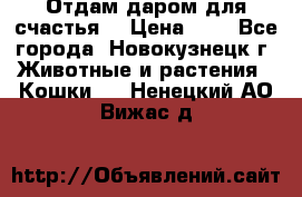 Отдам даром для счастья. › Цена ­ 1 - Все города, Новокузнецк г. Животные и растения » Кошки   . Ненецкий АО,Вижас д.